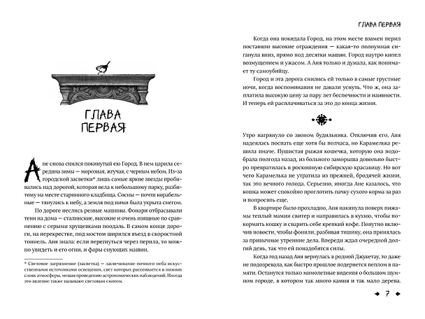 Книга Наличники (Юлия Шляпникова) — 5