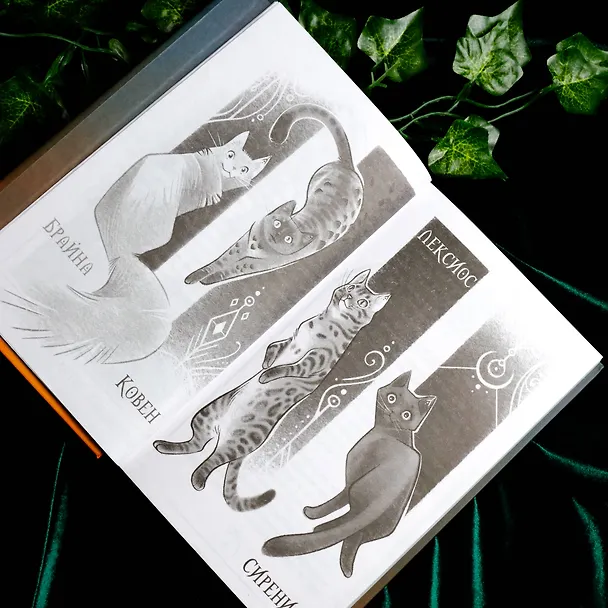 Книга Поместье Каслкотц. Иномирье просыпается (Ален Т. Пюиссегюр) — 17