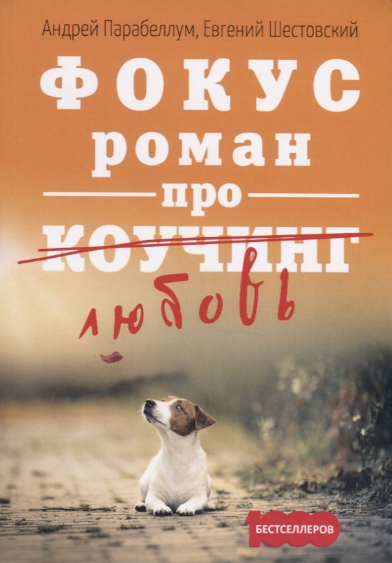 

Фокус. Бизнес-роман про коучинг