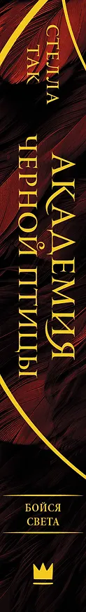 Книга Академия Черной птицы. Бойся света (Стелла Алиссия Так) — 3