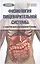 Физиология пищеварительной системы (с элементами возрастной физиологии и биохимии): учебное пособие — 2403389 — 1
