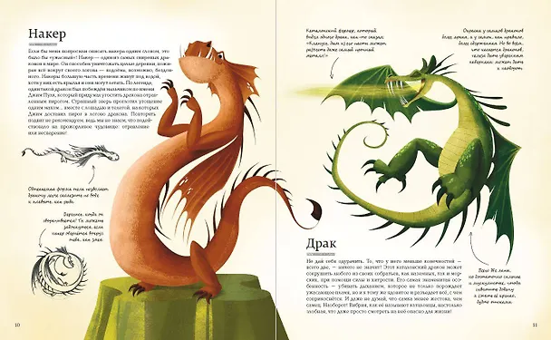 Книга БОЛЬШАЯ КНИГА О ДРАКОНАХ (Федерика Магрин) — 9