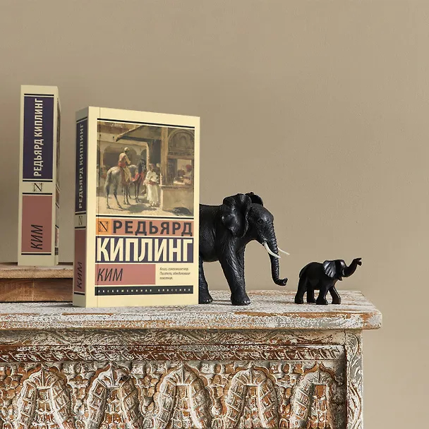 Книга Ким (Редьярд Киплинг) — 4