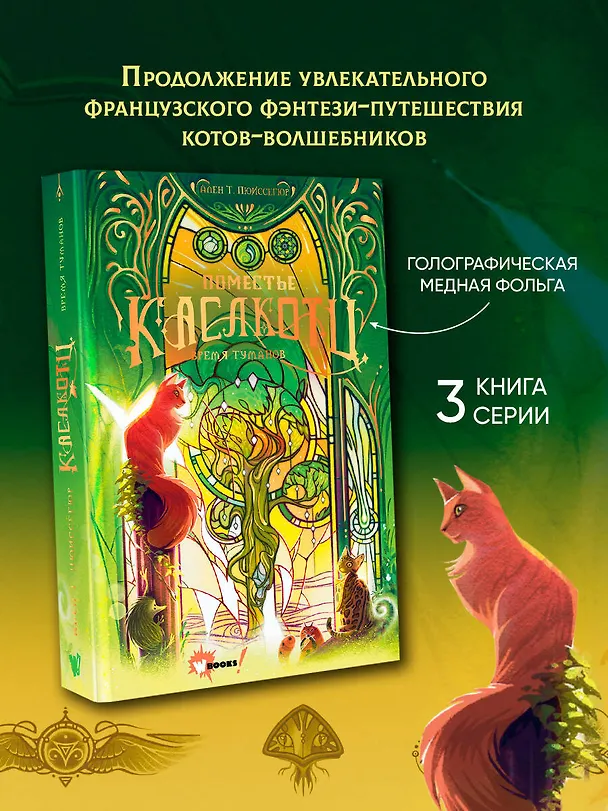 Книга Поместье Каслкотц. Время туманов (Ален Т. Пюиссегюр) — 6