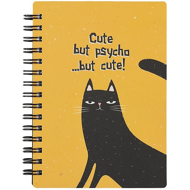 Записная книжка «Silly. Черный кот» А6, 120 листов в клетку, спираль, Be Smart 2897781 — 1
