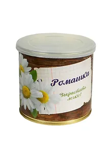 Мини цветок в банке Ромашка (410794)