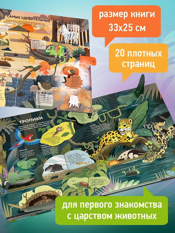 Книга Удивительные животные () — 10