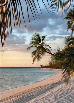 Книга Метафорические ассоциативные карты «Благополучие» (40 карт) (Мария Арефьева)