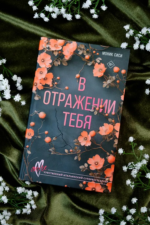 Книга В отражении тебя (Моник Сиси) — 6