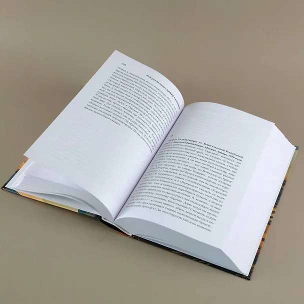 Книга Дикие сыщики (Роберто Боланьо) — 11