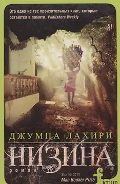 Низина