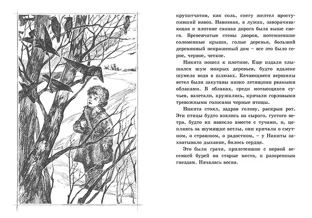 Книга Детство Никиты (илл. Масейкиной) (ЧитВсейСем) Толстой (Алексей Толстой) — 5
