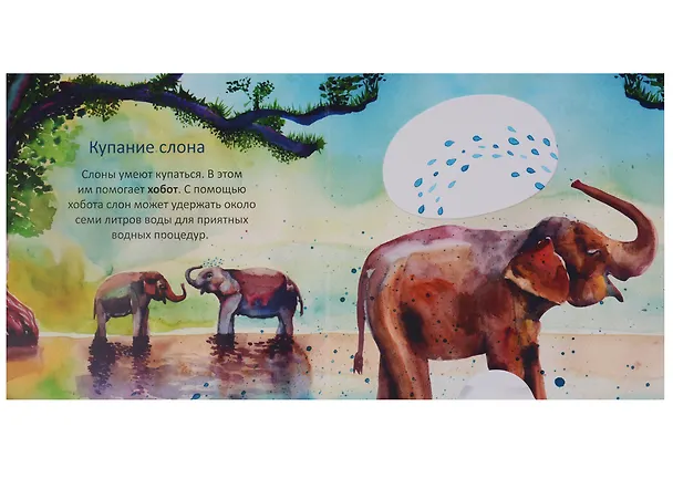 Книга Мы тоже можем (Голдфингер) (картон) (Сара Голдфингер) — 2