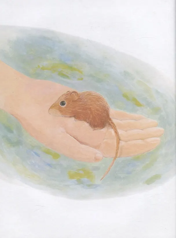 Книга Рассказы и сказки о животных (Виталий Бианки) — 3