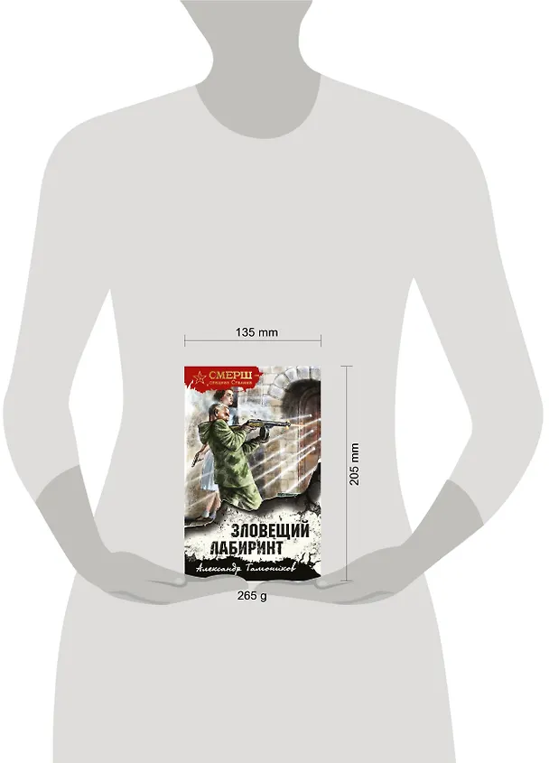 Книга Зловещий лабиринт (Александр Тамоников) — 5