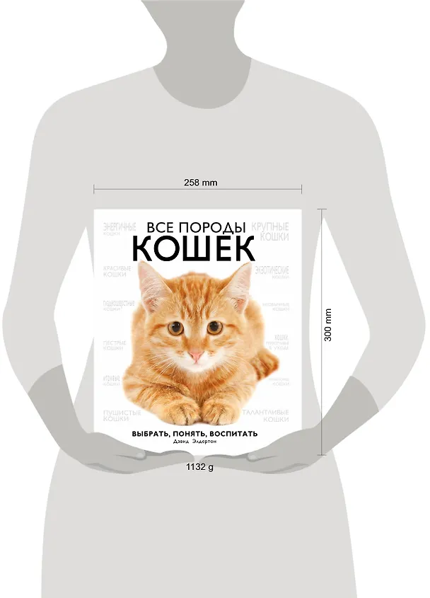 Книга Все породы кошек (Дэвид Элдертон) — 5