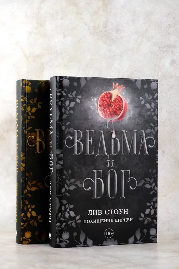 Книга Ведьма и бог. Похищение Цирцеи (Лив Стоун) — 9