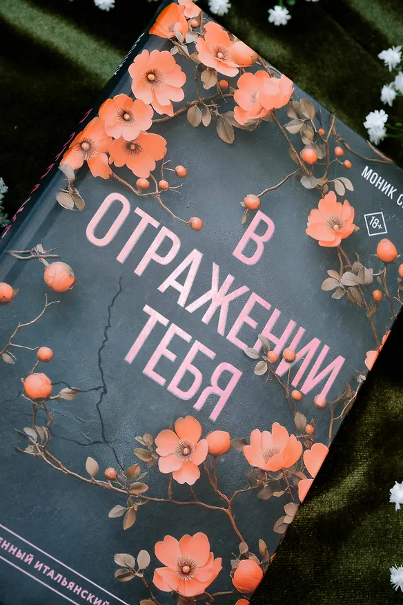 Книга В отражении тебя (Моник Сиси) — 8