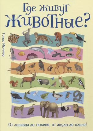 Где живут животные? От ленивца до тюленя, от акулы до оленя! — 2632150 — 1