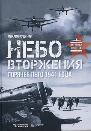 Небо вторжения. Горячее лето 1941 года — 2745130 — 1