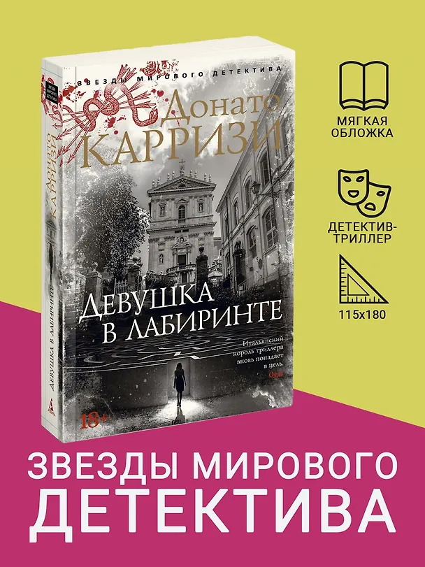 Книга Девушка в лабиринте (Донато Карризи) — 5