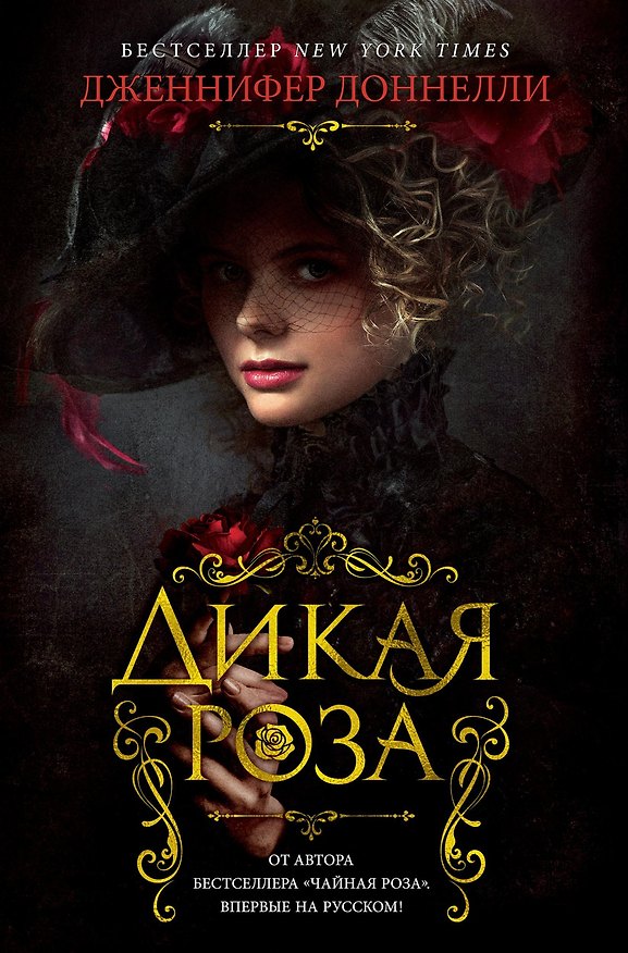 Книга Дикая роза (Дженнифер Доннелли) — 1