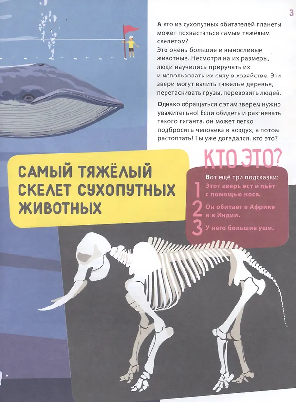 Книга Поразительные животные: кости и скелеты (Ксения Евдокимова) — 2