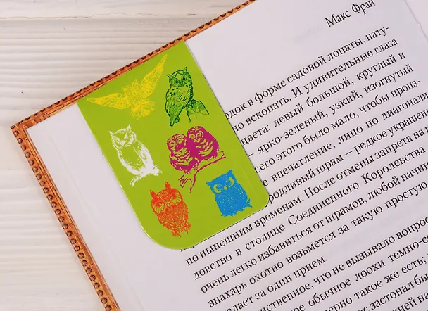 Магнитные закладки Совы (2 шт) 2510903 — 2