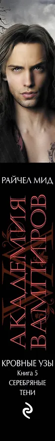 Книга Академия вампиров. Кровные узы. Книга 5. Серебряные тени (Райчел Мид) — 3