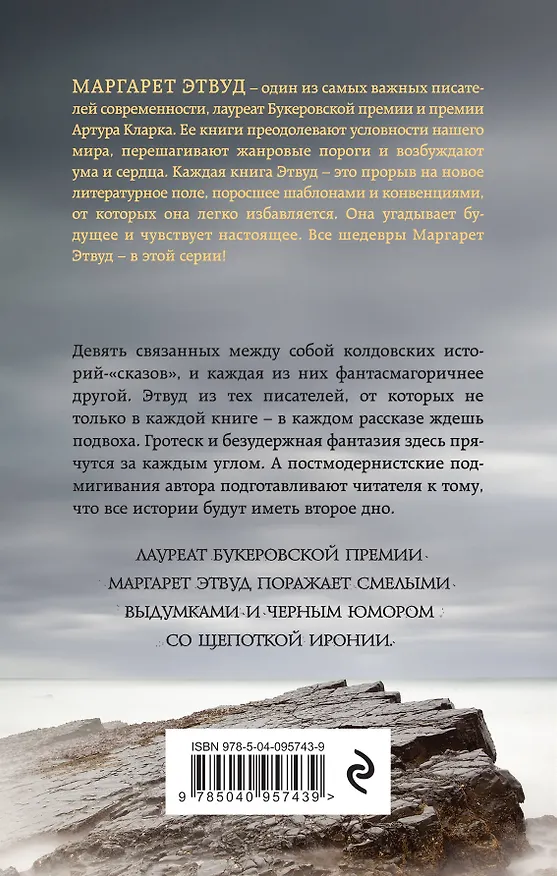 Книга Каменная подстилка (Маргарет Этвуд) — 2