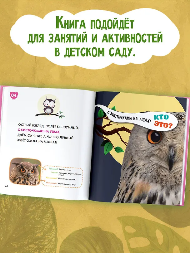 Книга Птицы () — 6
