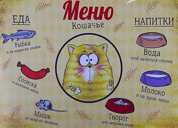 Коврик пластик Котэ (30 х 40 см) (728407) 2371602 — 1