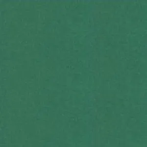Бумага для пастели 50*65 "Tiziano" 160г/м2 №37 зеленый темный, Fabriano