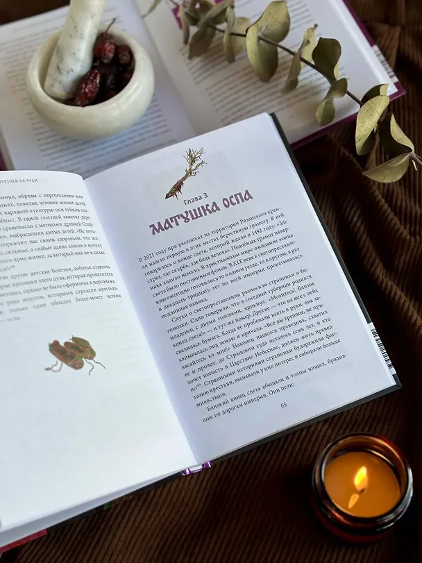 Книга Духи болезней на Руси. Сестры-лихорадки, матушка Оспа и жук в ботиночках (Антон Нелихов) — 14