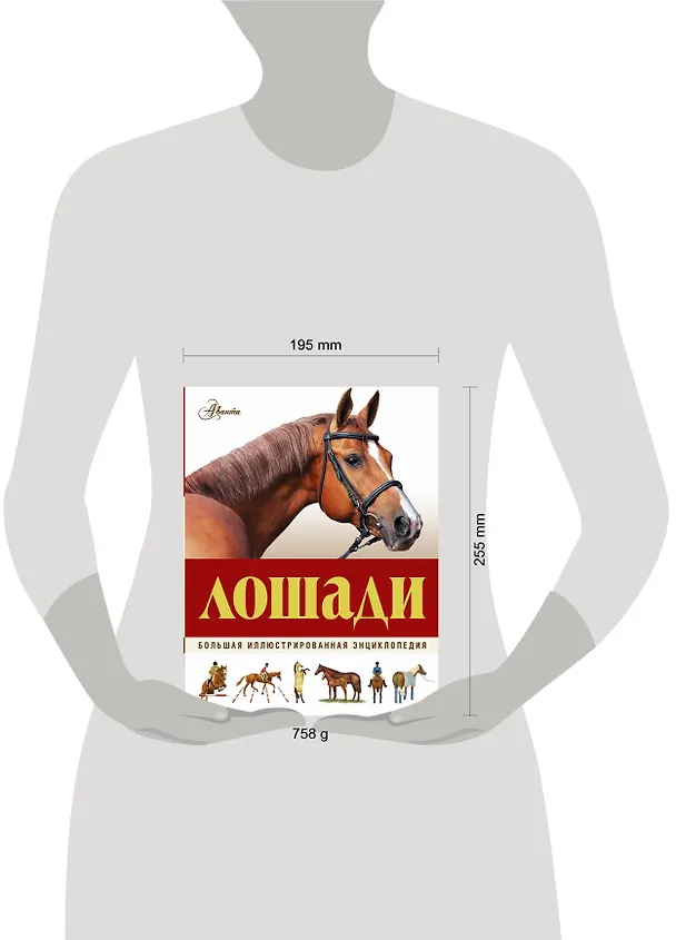 Книга Большая иллюстрированная энциклопедия. Лошади (Джейн Холдернесс-Роддам) — 4
