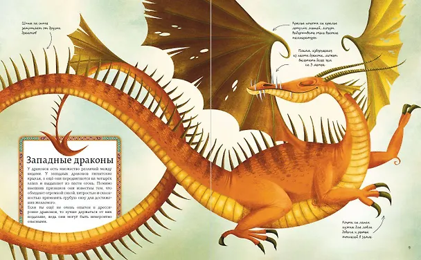 Книга БОЛЬШАЯ КНИГА О ДРАКОНАХ (Федерика Магрин) — 8