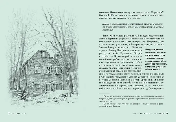 Книга Загадки леса. Удивительная жизнь зеленой экосистемы планеты (Адриане Лохнер) — 8