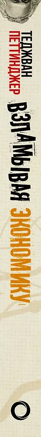 Книга Взламывая экономику (Теджван Петтинджер) — 3