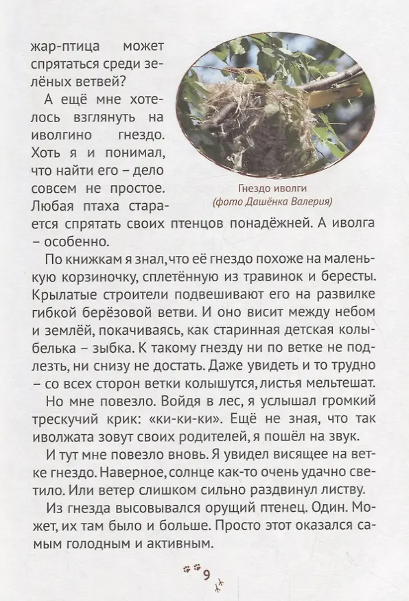 Книга Пряники для слона () — 6