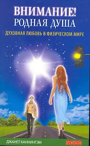 Внимание! Родная душа. Духовная любовь в физическом мире