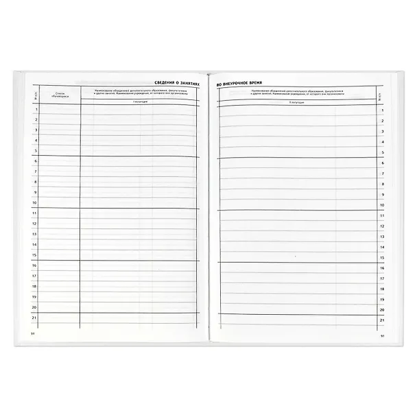 Классный журнал 1-4 класс А4, офсет, Феникс 212390 — 4