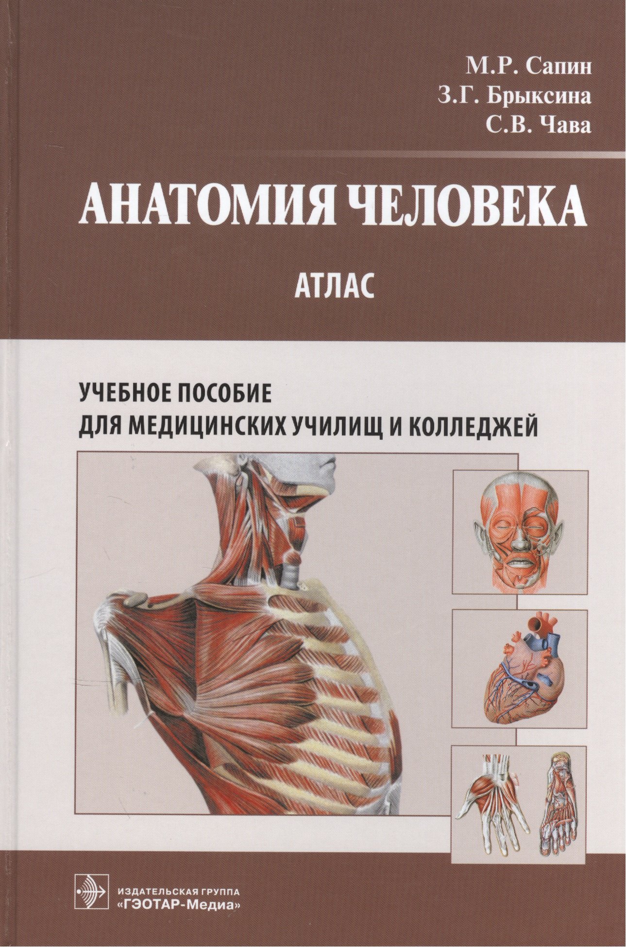 

Анатомия человека : атлас : учеб. пособие для медицинских училищ и колледжей