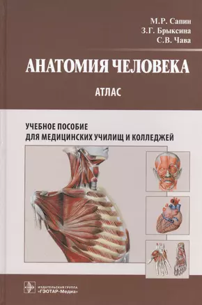 Анатомия человека : атлас : учеб. пособие для медицинских училищ и колледжей — 2512911 — 1