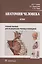 Анатомия человека : атлас : учеб. пособие для медицинских училищ и колледжей — 2512911 — 1