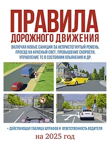 Правила дорожного движения на 2025 год. Действующая таблица штрафов и ответственность водителя