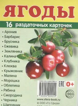 Дем. картинки СУПЕР Ягоды.16 раздаточных карточек с текстом (63х87мм) — 2584169 — 1