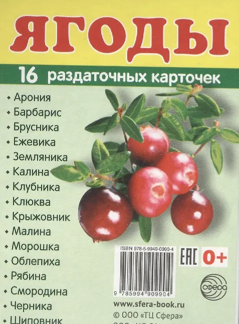 Книга Дем. картинки СУПЕР Ягоды.16 раздаточных карточек с текстом (63х87мм) (Татьяна Цветкова) — 1