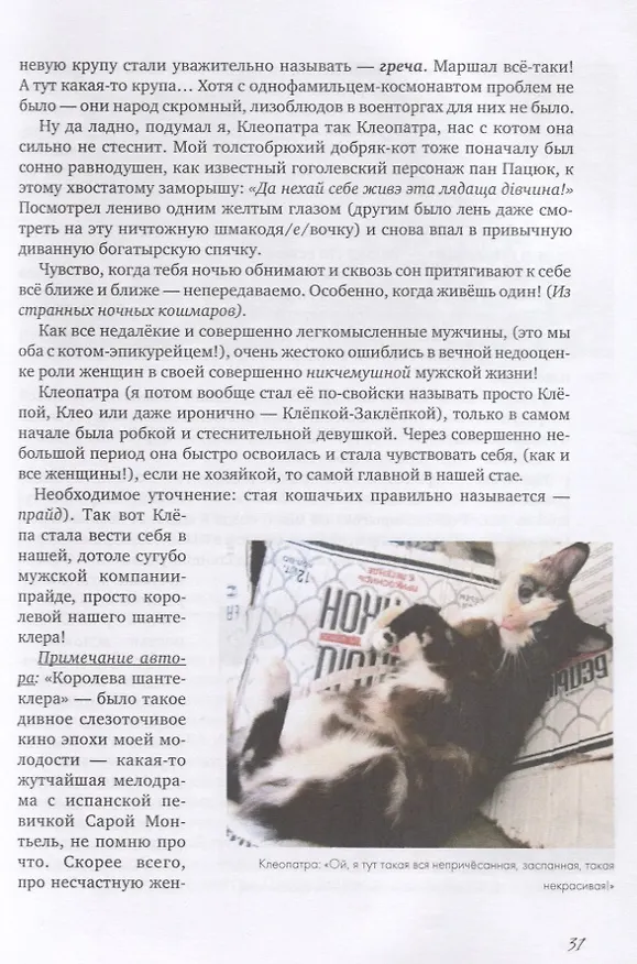 Книга Коты и Кошки. Заметки диванного натуралиста () — 8