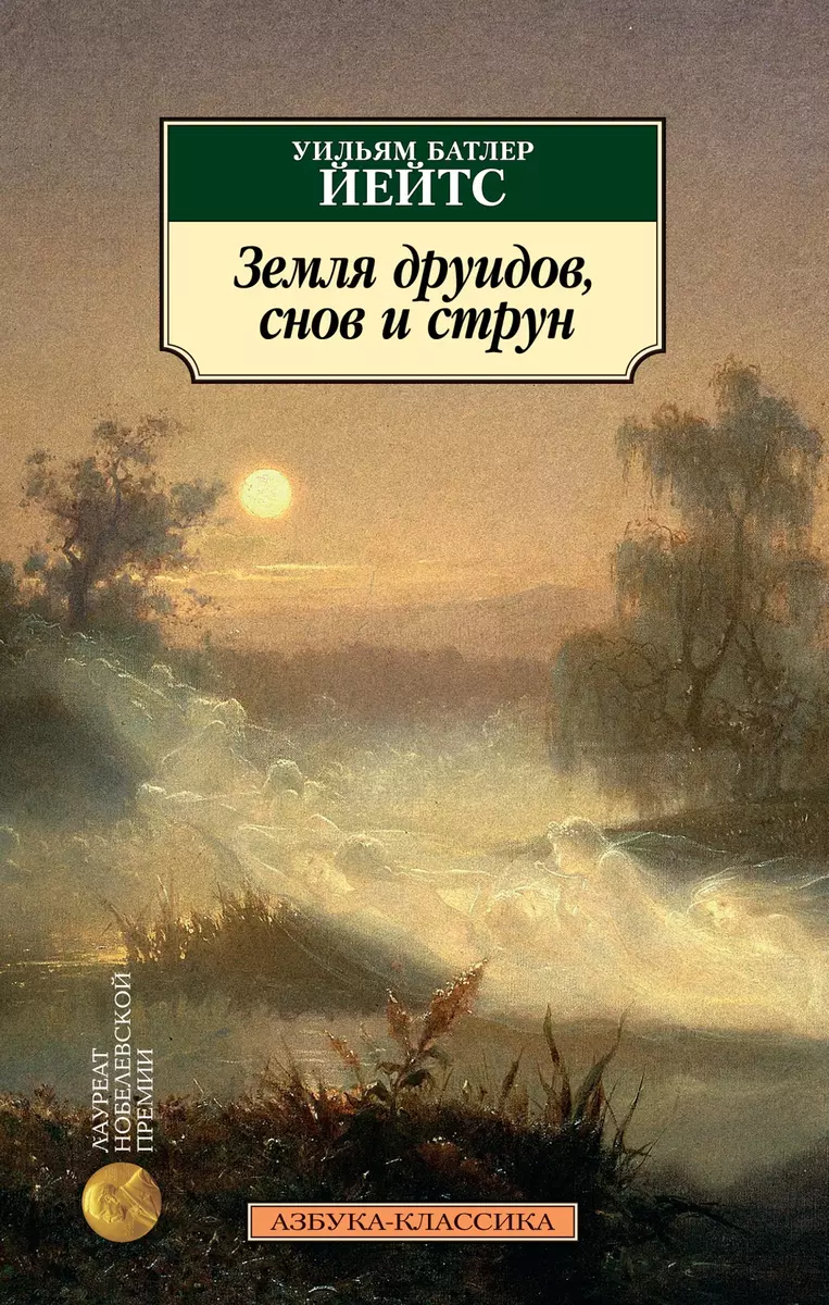 Земля друидов, снов и струн (Уильям Йейтс) - купить книгу с доставкой в  интернет-магазине «Читай-город». ISBN: 978-5-389-15668-5