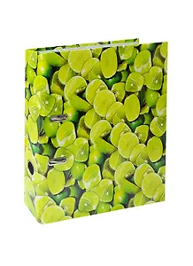 Папка архивная 80мм А4 "Лайм" картон ламинированный, INDEX